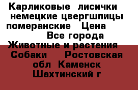 Карликовые “лисички“  немецкие цвергшпицы/померанские › Цена ­ 35 000 - Все города Животные и растения » Собаки   . Ростовская обл.,Каменск-Шахтинский г.